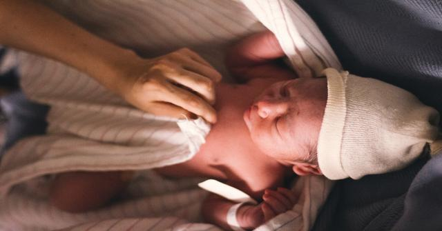 baby-storkebid.png